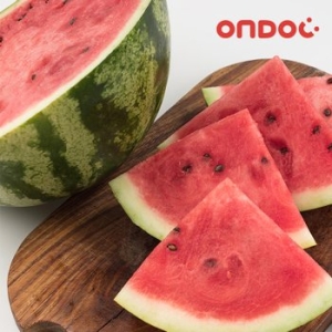 온도씨 함안 하우스 꿀 수박 5kg 전후_이미지