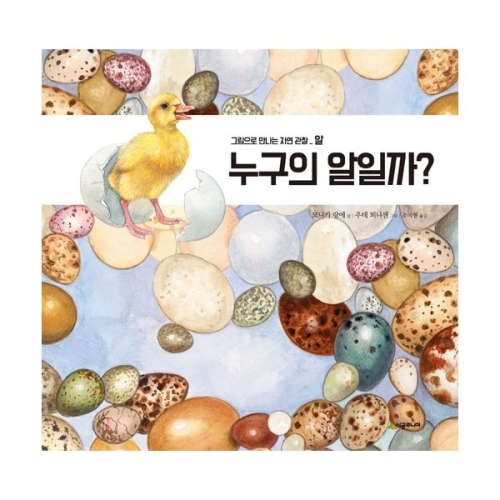 시공주니어 누구의 알일까