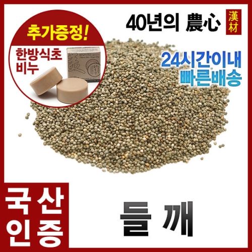 자애인 들깨 /통들깨/검은들깨/국내산
