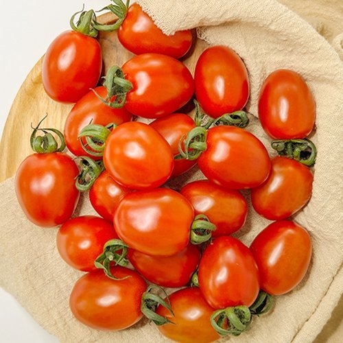 스테비아 대추 방울토마토