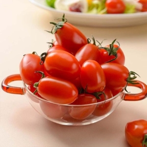 맛있는 대추방울토마토 5kg 1-2번과