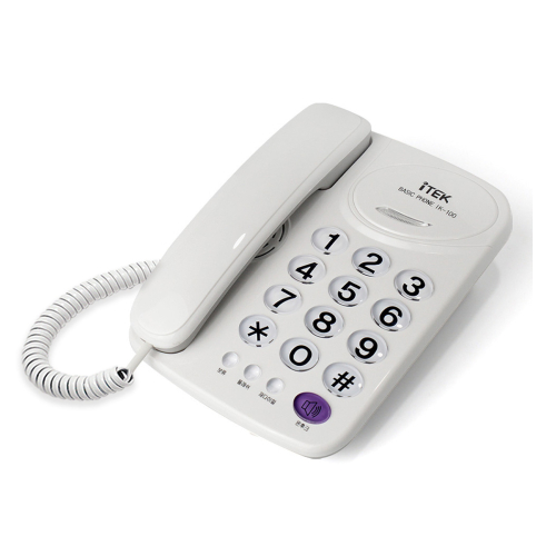 아이텍 IK-100_이미지