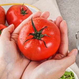 이앤조이 찰토마토 4~5번 5kg