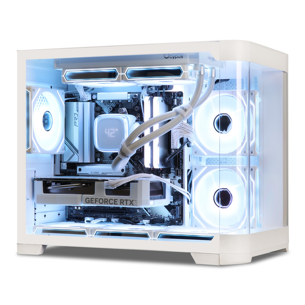 몬스타 가츠 어드밴스 (32GB, M.2 1TB)_이미지