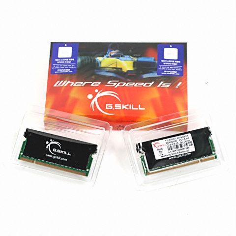 G.SKILL 노트북 DDR2-667 SK So-Dimm 방열판 패키지 디직스 (4GB(2Gx2))_이미지