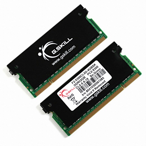 G.SKILL 노트북 DDR2-667 SK So-Dimm 방열판 패키지 디직스 (4GB(2Gx2))_이미지