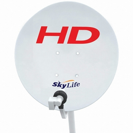 ������ ��ī�̶����� ���� ���׳� 55cm