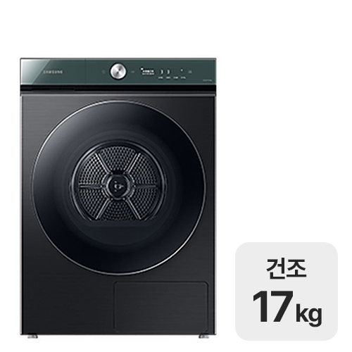 �Ｚ���� ����ũ �׶���AI DV17A9740FV