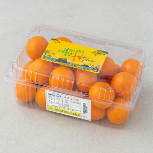 귤탐 고당도 하우스감귤 1.2kg 1팩