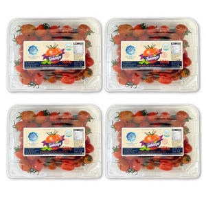 대한농산 토마토 스테비아 대추방울 토망고 500g (4개)_이미지