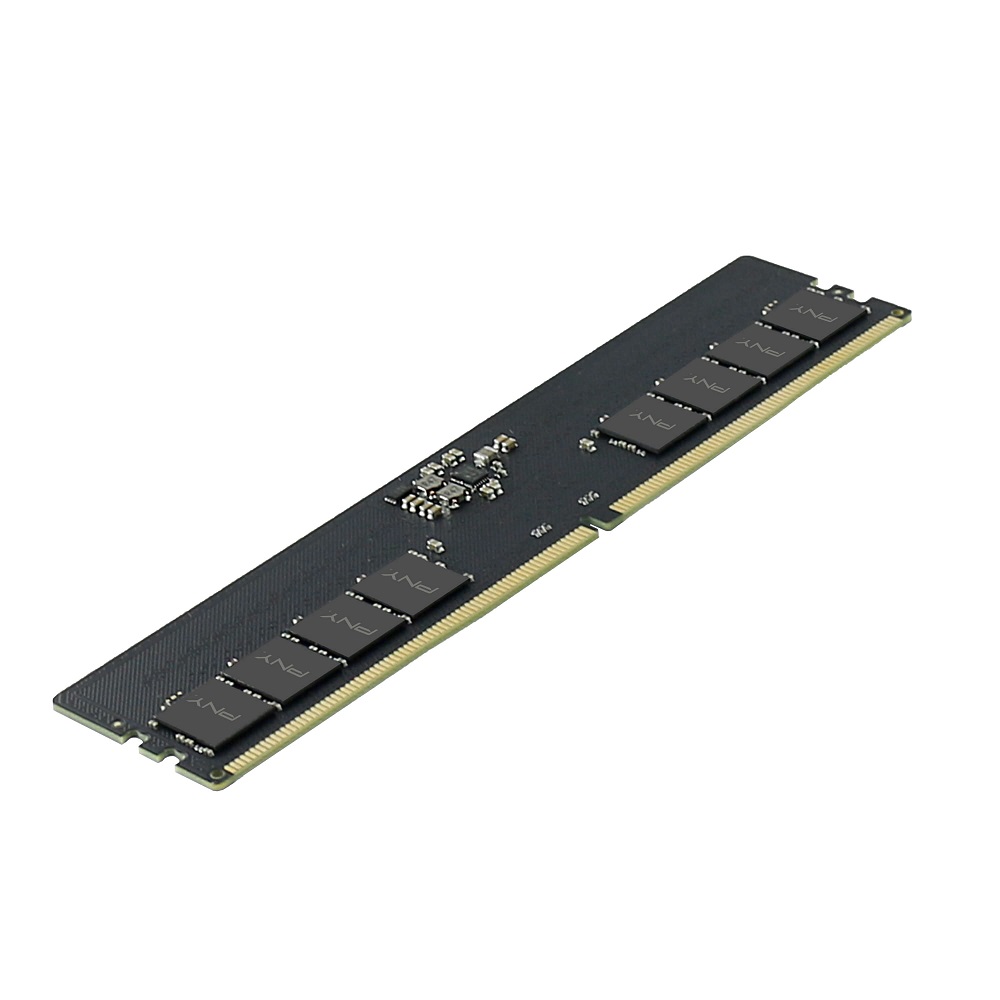 PNY DDR5-4800 Performance 제이씨현 (8GB)_이미지