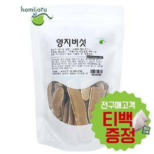 영지버섯 차가버섯 가루 환