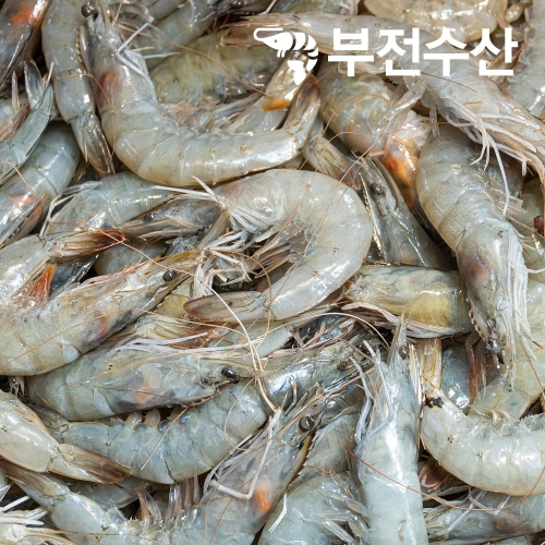 부전수산 냉동 신선한 자연산 민물새우 1박스 업소용 8kg 400g 20팩 민물새우깡 민물새우탕 육수재료_이미지