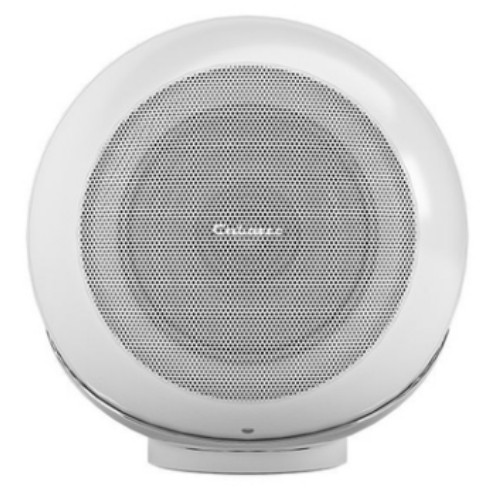 카바세 The Pearl Akoya