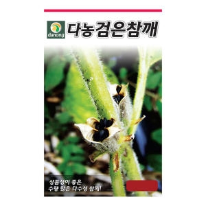 다농 검은 참깨 씨앗 3000립_이미지