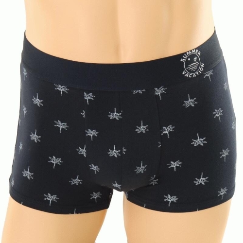 �ֺ� ���� �� 50�� �齺�� ���ڼ� ���� ����� SMP6061T BK_T 11