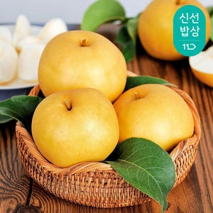 나주배 가정용 7~9과 3kg