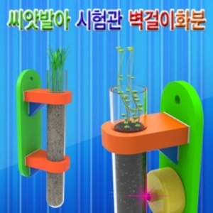 벽걸이용 씨앗관찰 시험관화분 보리 5인용