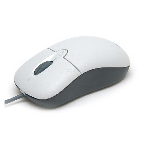 Microsoft Basic Optical 화이트 (정품벌크 5팩)_이미지