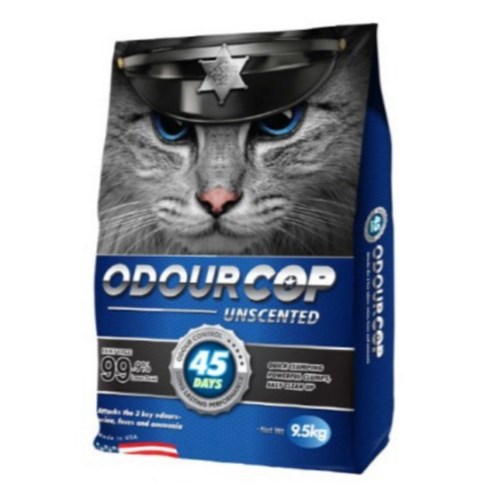 �Ʒ��� ����İ �ǹ� ���� 9.5kg