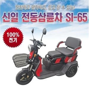 ���� SI-65 ��������� ���������� ����������