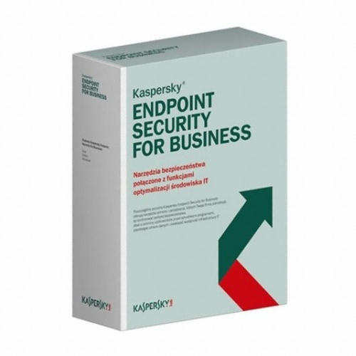 카스퍼스키랩 Endpoint Security 10 for Windows Servers (11~20 Copy 2년 라이선스)