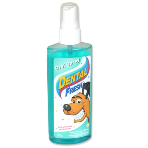 덴탈후레쉬 구강 스프레이