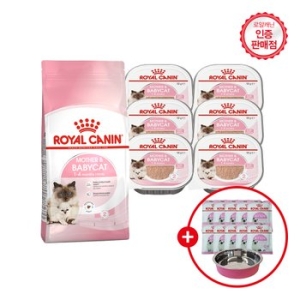 캣 혼식패키지 마더 앤 베이비캣 4kg + 파우치 85g*6p