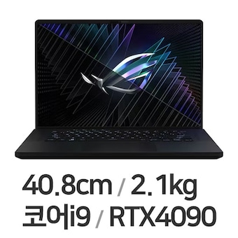ASUS ROG 제피러스 M16 GU604VY-N4067W 64GB램