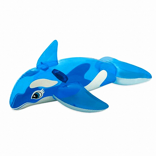 투명 돌고래 물놀이 튜브 58523