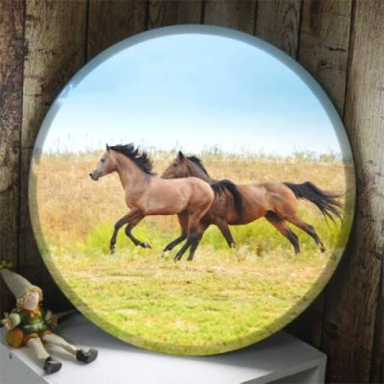 �ٹ� LED �����ϴ¸� ���� ����� 25cm