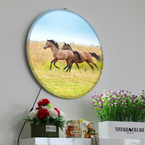 �ٹ� LED �����ϴ¸� ���� ����� 25cm