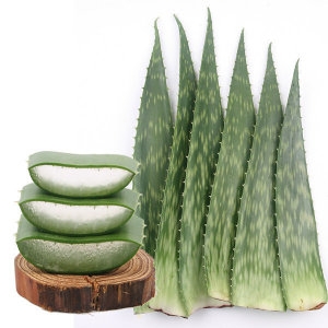 ���Ͼ˷ο����� �� �˷ο� ���������� 4kg