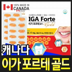 캐나다 프로폴리스 잇몸칼슘 D3 이가포르테 120정