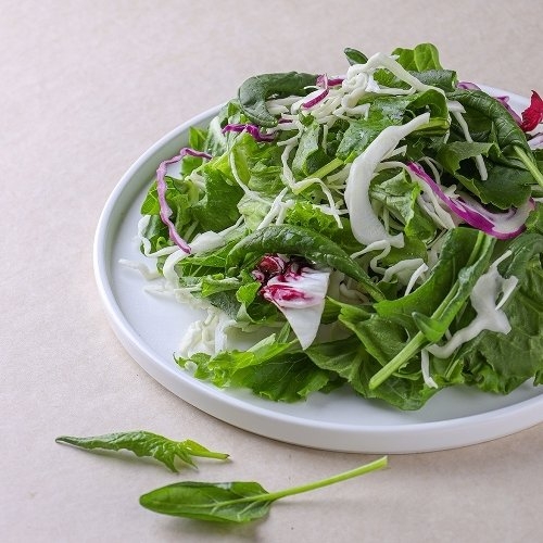 ���ȸ������ʿ���Ʈ �ʿ���Ʈ ���Ǵ�ġ ������ 300g