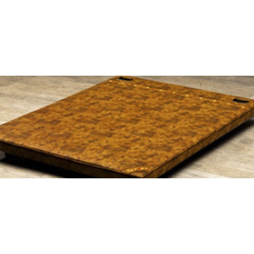 ��ǰ�Ƿ�� 2022 ��ħ�� Q