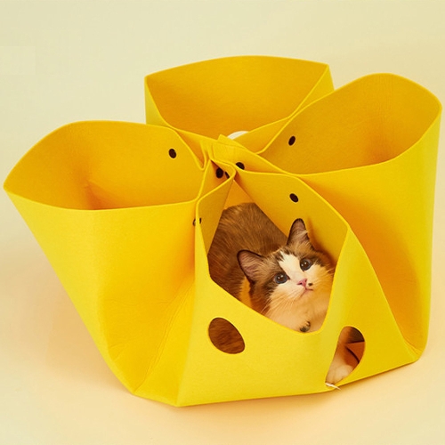 [불명] 고양이섬 치즈만두 놀이터널이미지입니다. 누르면 해당 게시물로 새창이동합니다.