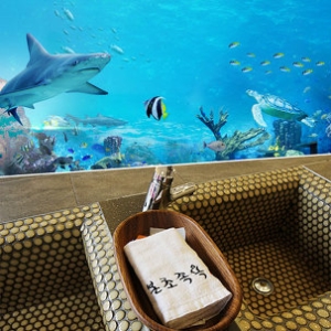   제주 BIG2 아쿠아플라넷 특별권 + 수목원 본초족욕 [청소년1] 상품이미지