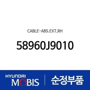  현대모비스 케이블-ABS 익스텐션 우측 58960J9010 더 뉴 코나 OS