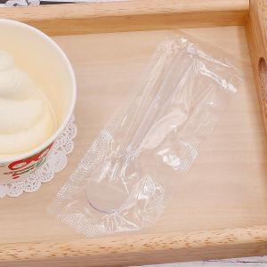 이룸팩 일회용아이스크림스푼대(투명) (100개)