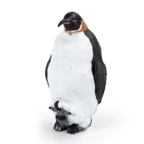 ��� Ȳ����� �ǱԾ�