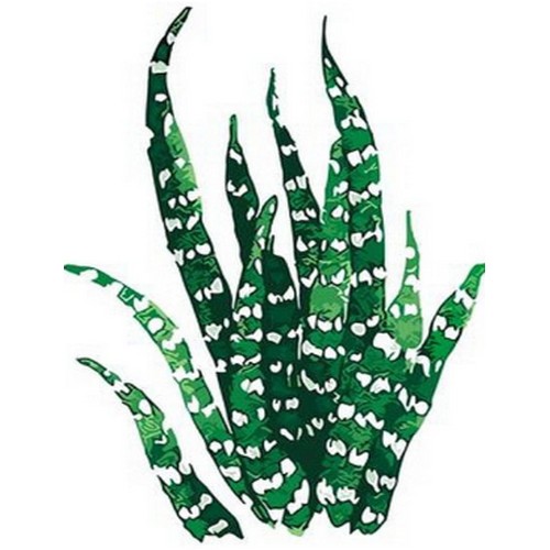 피포페인팅  DIY 명화그림그리기 Q3080 Leaf 잎