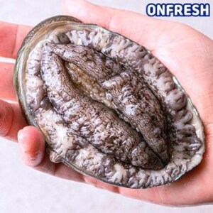 바다온 완도활<b>전복</b> 10~11미 1kg