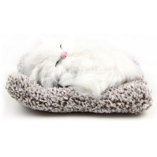 ƼĿ�� TKB ������ ������ ���ڴ� ���������� ��Ű���Ӱ���