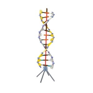 DNA mRNA조립키트/JS-40790