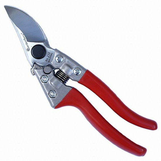 ���缭�� �������� No.210