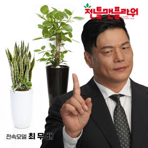 인삼펜다 일반형 3f590