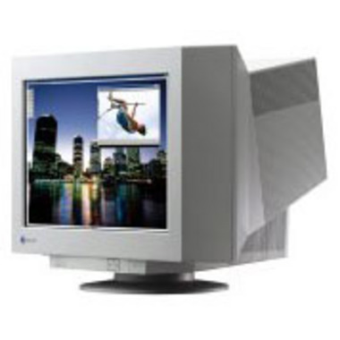 EIZO FlexScan T965