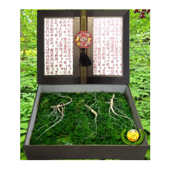 삼세상 강원도 산양산삼 20년근 1등급 3뿌리 (1개)_이미지