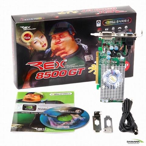 Rextech ������ 8500GT ģ�� 256MB LP